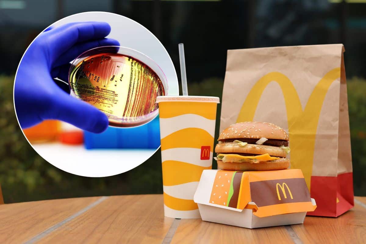 provetta e cibo McDonald's